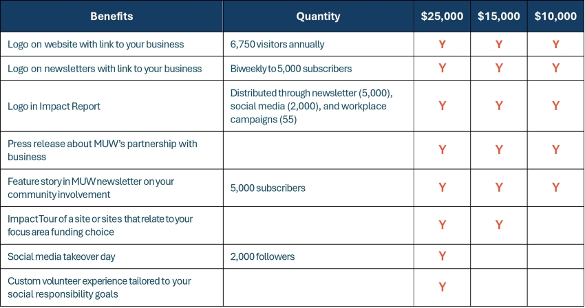 table comparing benefits of various impact sponsorships